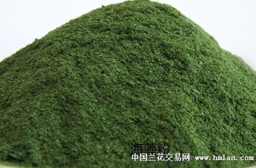 蘭花專用有機(jī)肥的制作與使用指南